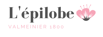 L'épilobe